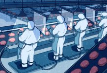 COVID Politics, Global Solidarity, & Democracy