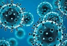 W.H.O. estimates 15 million excess deaths during COVID-19 pandemic