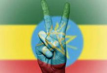 Peace in Ethiopia, Sanctions on Eritrea; Brazil under Lula’s Leadership; Adjunct Faculty in CA Colleges; Free Leonard Peltier!