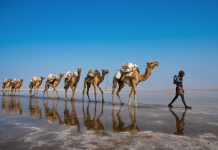 Afar in Crisis in Postwar Ethiopia; Apple Colludes with Regulators to Silence Whistleblower; Australians Protest Nuclear Subs